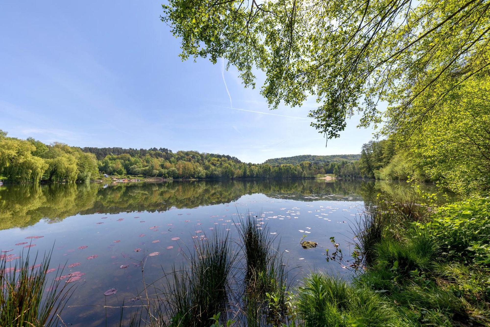 Ferienwohnung, 60Qm Frielendorf المظهر الخارجي الصورة